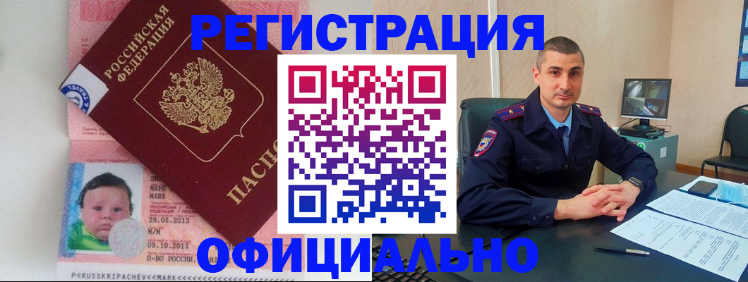 прописка поиск в Курске